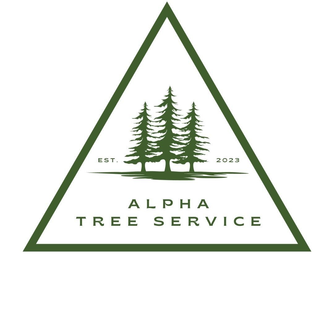 Premier Tree Service in Sonoma County, CA | Alpha Tree Service